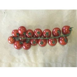 Tomatoes Cherry Vine per str..