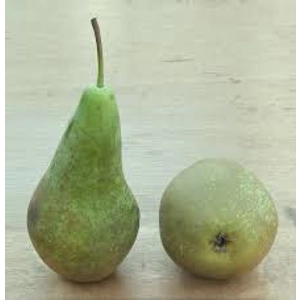 Conference Pears / Kg