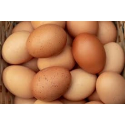 Free Range Eggs x 6