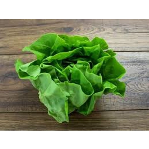 Flat Lettuce