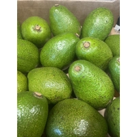Avacado