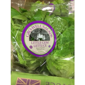 Little gem lettuce