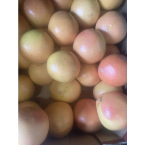 Ruby grapefruit