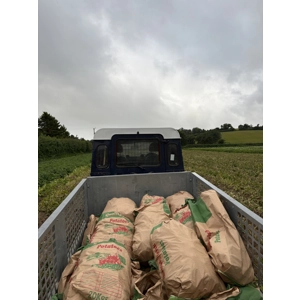 Potato winter deal 10x 20 kg bags