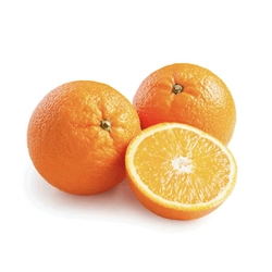 Oranges Large