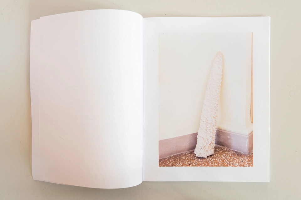 Books: Amygdala Alpha