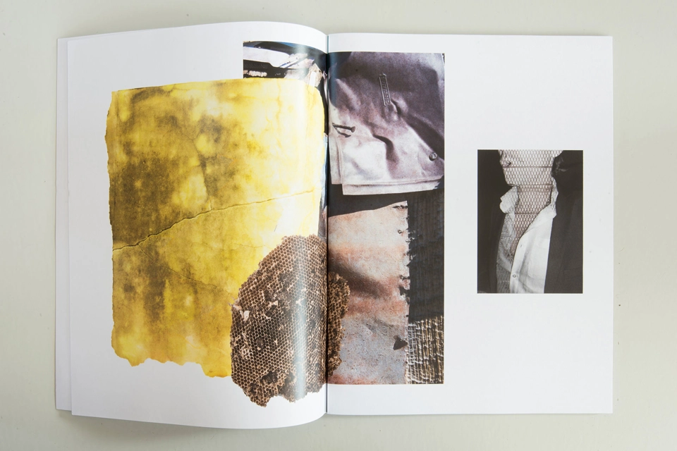 Books: Amygdala Bèta