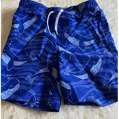 3T Toddler Boy Swim Trunks