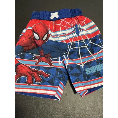 2T Boys Swim Trunks, Spider-Man