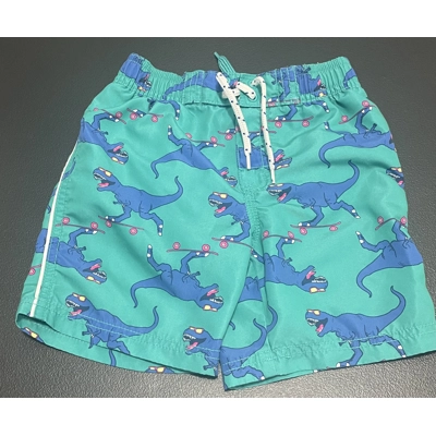 4T Boys Swim Trunks, Green w/T-Rex