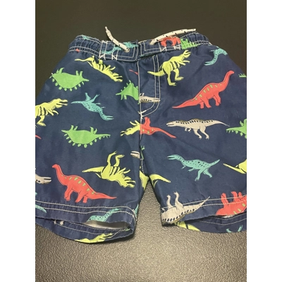 3T Boys Swim Trunks, Blue w/Dinosaurs
