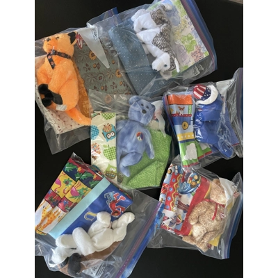 Beanie Baby & Pillowcase (Boy)