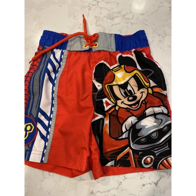 4 Toddler/Youth Boys Swim Trunks