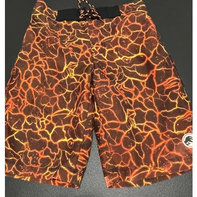 10/12 (L) Boys Swim Trunks, Lava T-Rex