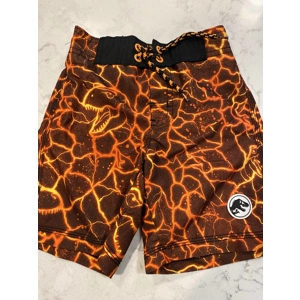 2T Toddler Boys Swim Trunks
