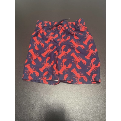 4T Boys Swim Trunks, Navy w/Lobsters