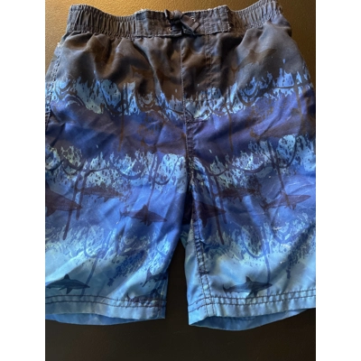 6 Boys Swim Trunks, Blue, Sharks