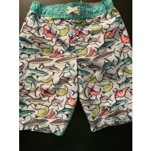 8/10 Boys Swim Trunks, Pale ..