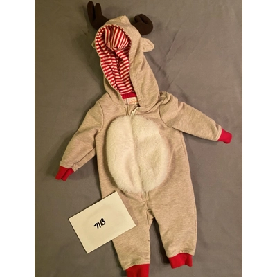 Newborn, Reindeer Theme Outfit/Costume