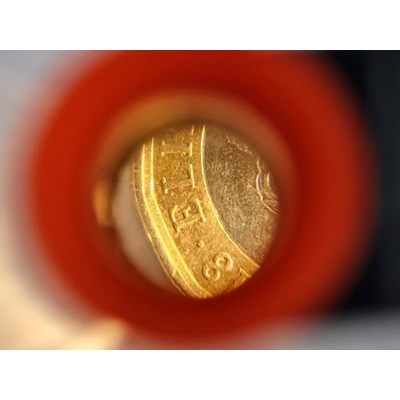 10x Illuminated Microscope