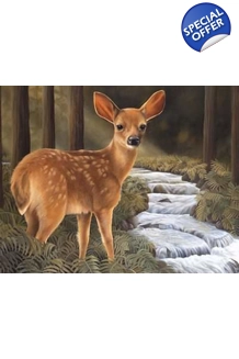 Forest Deer