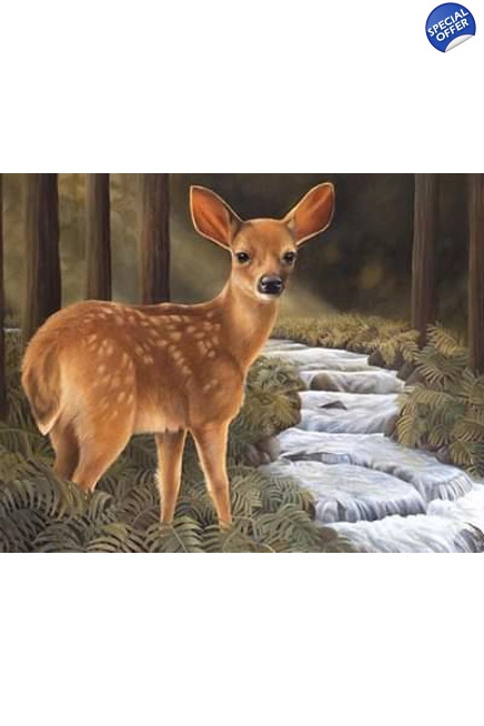 Forest Deer
