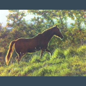 Onwards and upwards - Framed - Ally Patterson