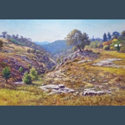 Autumn afternoon - Beechworth - unframed