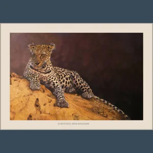 Surveying Her Kingdom - Framed - Klaudio Dadich