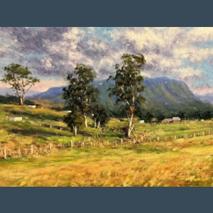 Sunlit paddocks - Unframed - Olivia Banas