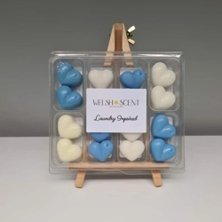 Wax Melt Sample Box - Laundry Inspired