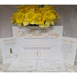 Tooth Fairy Set - GOLD