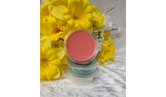 Category Image for Christmas Wax Melts