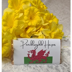 Penblwydd Hapus Welsh Chocolate Sleeve
