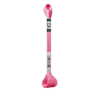 DMC Satin Floss Thread 8m Colour 899
