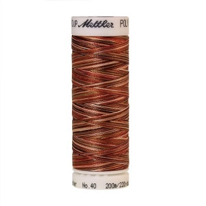 Mettler Poly Sheen Multi 200m 9302
