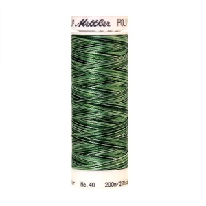 Mettler Poly Sheen Multi 200m 9805