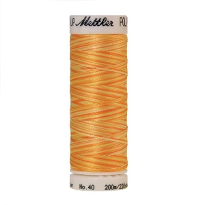 Mettler Poly Sheen Multi 200m 9925