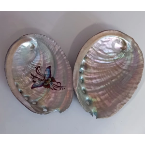 Abalone Shell