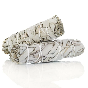 Sage - White Sage