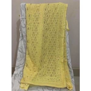 Lucknow  chikankari georgette