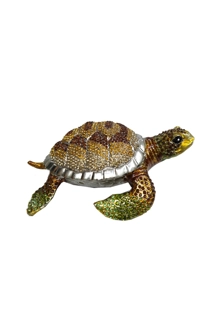 Lucky Tortoise Jew..