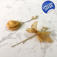 Earrings (Clip-on/ Pierced) - Gol..