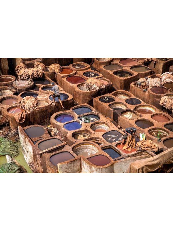 The Tannery