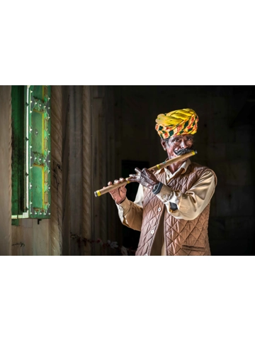 The Flautist