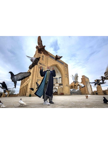 The Lord of the Birds