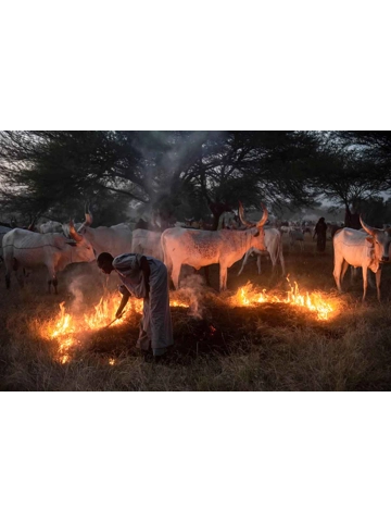 Before the Darkness Comes