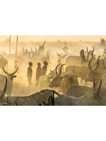 Ghosts in the Dust
