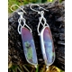 Dragon Blood Jasper Earrings