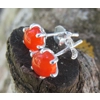 Carnelian Studs